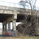 Image Gallery